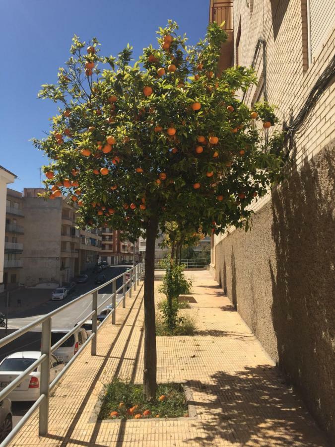 Apartment Sunny Harbour サンタ・ポラ エクステリア 写真